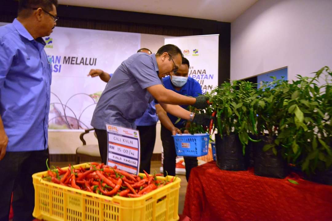 08 Ogos 2020 - Perasmian Seminar Menjana Pendapatan Melalui Penanaman Fertigasi oleh Tuan Ahmad Munir Bin Ishak, Pegawai Daerah Kuala Kangsar di MH Hotel Sungai Siput