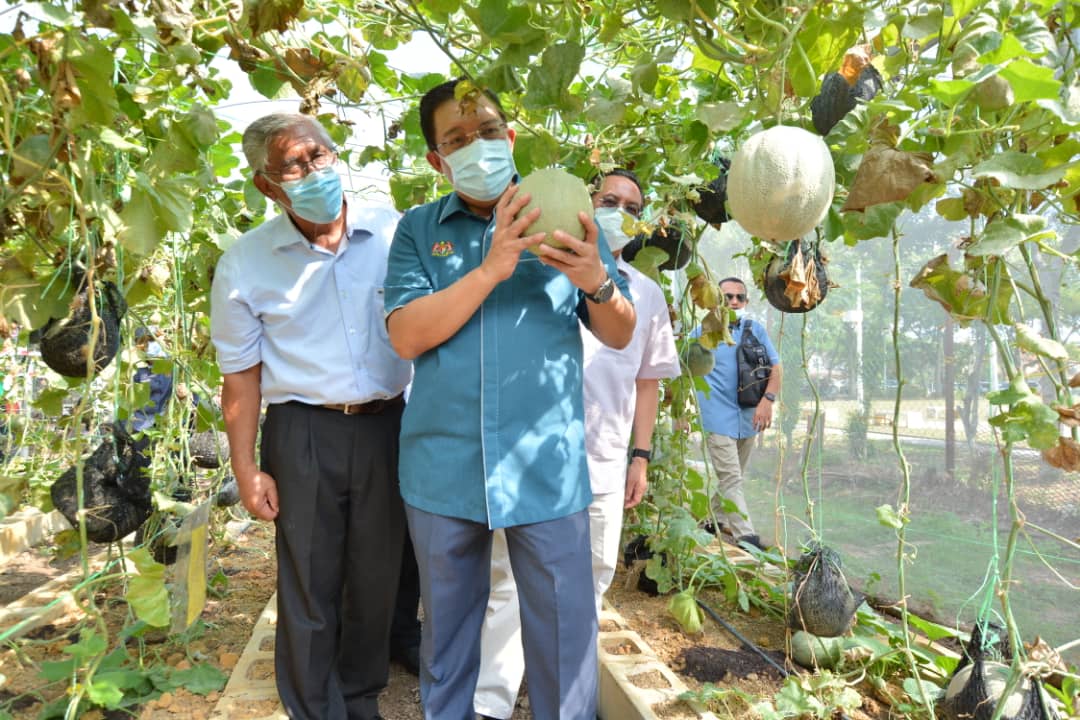 12 September 2020 | Sabtu | Tapak KOBUNITI Seksyen U12, Shah Alam | Program Jualan Terus Dari Ladang (JTDL) & Pelancaran Koperasi Kebuniti Selangor Berhad (KOBUNITI) di Desa Alam, Shah Alam. Program ini dirasmikan oleh YBhg. Tan Sri Mohd Zuki Ali, Ketua Setiausaha Negara. Turut hadir YBhg. Dato' Zainal Abidin Yang Razalli, Ketua Pengarah FAMA. Pihak FAMA bekerjasama dengan pihak KOBUNITI dengan menempatkan 7 usahawan untuk membuat jualan dibawah program JTDL.