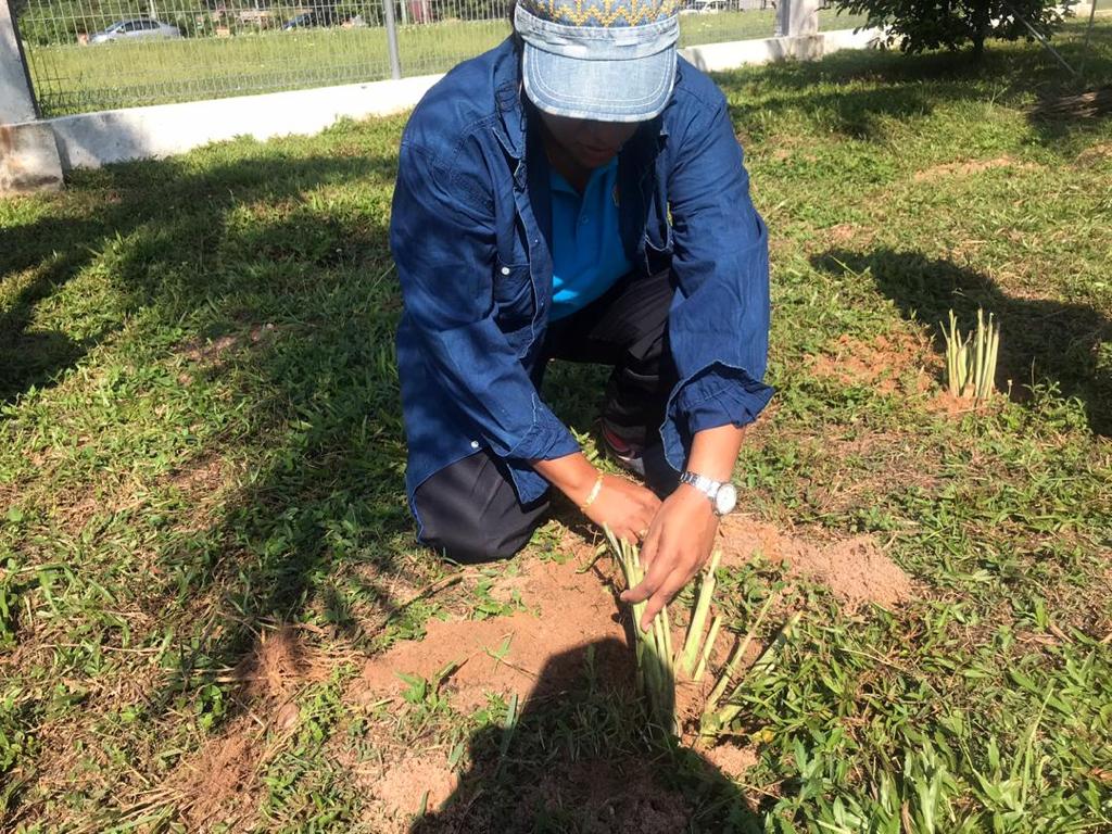 01 Oktober 2020 | Khamis | RTC Perak | 8.00pg | Aktiviti sempena 55 Tahun FAMA di FAMA Negeri Perak. YB Dato’ Abdul Yunus Jamahri, Pengerusi Jawatankuasa Pertanian, Perikanan, Perladangan dan Sekuriti Makanan meluangkan masa bagi melihat aktiviti sambutan sempena 55 tahun FAMA serta ke Medan Food Truck & GBBS RTC Perak.