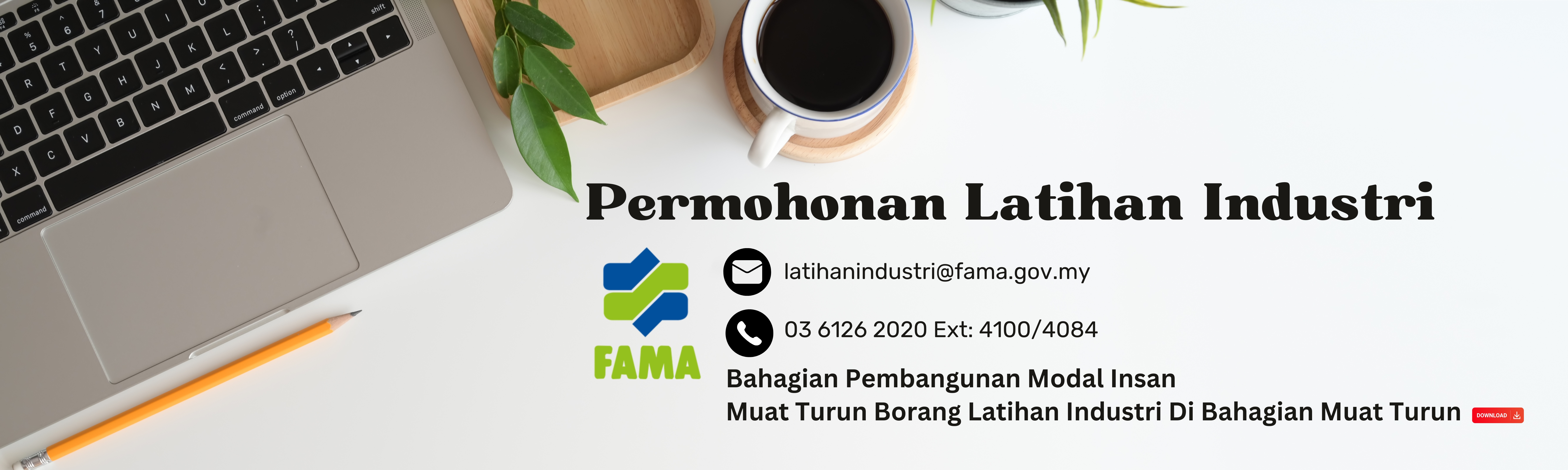 White Minimalist Profile LinkedIn Banner.jpg