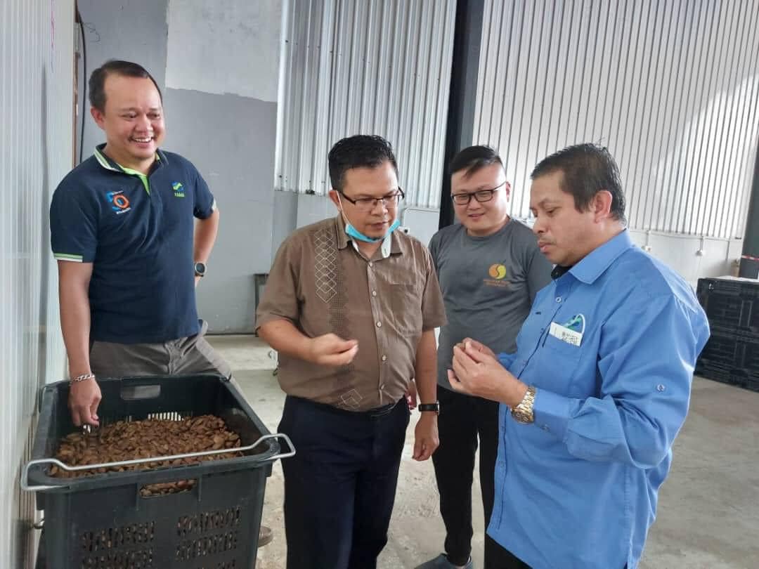 05 November 2022 | Sarawak Fruits Sdn Bhd - Kilang Dabai Kuching, Sarawak | Lawatan Kerja oleh Y.Bhg Dato' Mohamad Mustahapa Awang, Timbalan Ketua Pengarah Pembangunan FAMA ke Sarawak Fruits Sdn Bhd