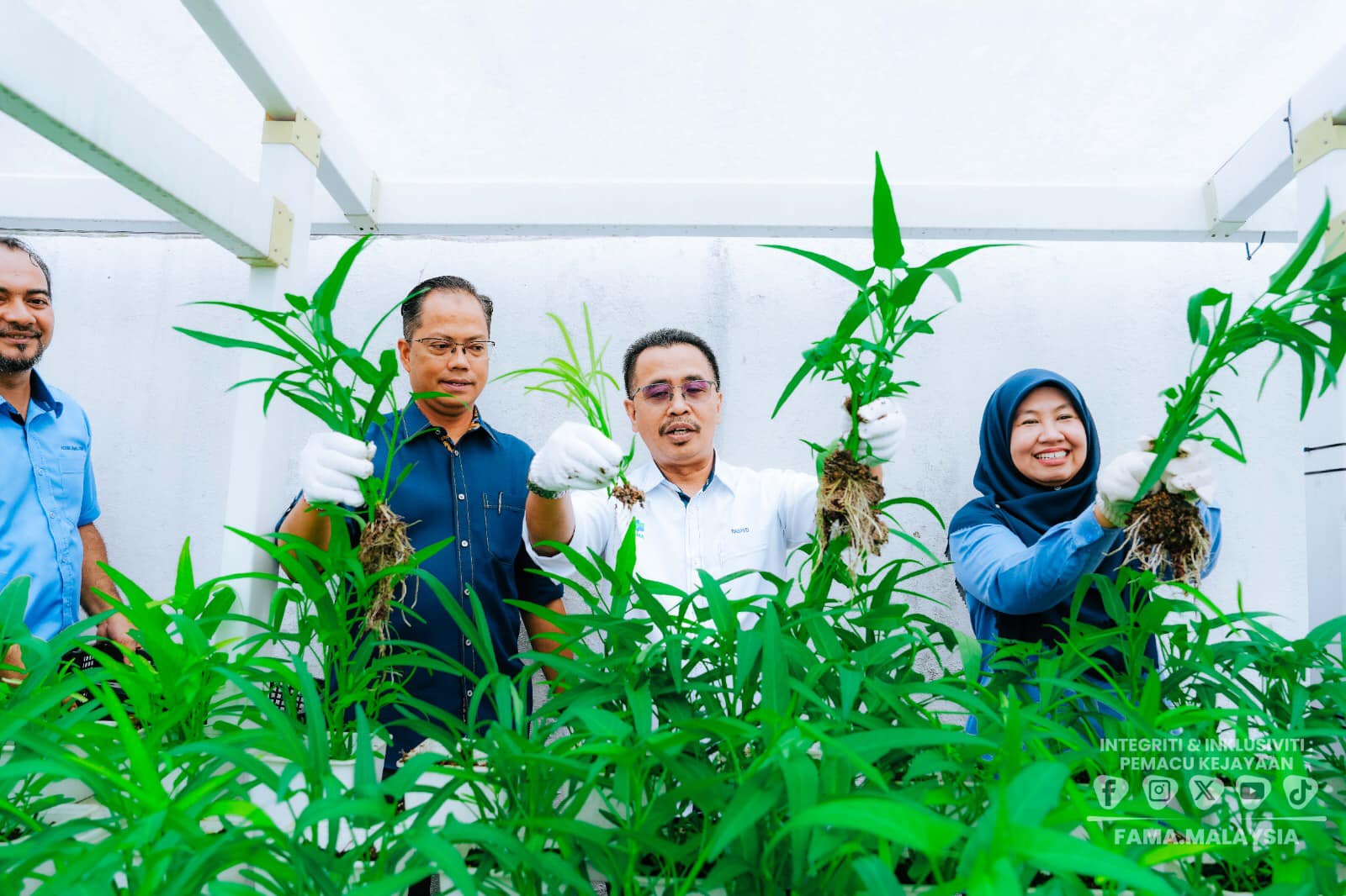 5 Mac 2025 | Rabu | Tuaian Kangkung Projek Aquaponik Di Ibu Pejabat FAMA | Ibu Pejabat FAMA